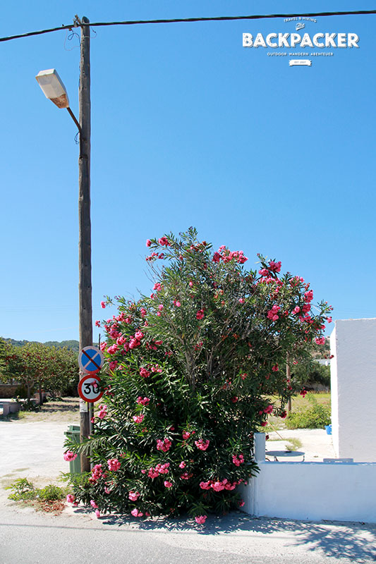 Griechisches Idyll auf Kos: irgendwo auf der Insel.