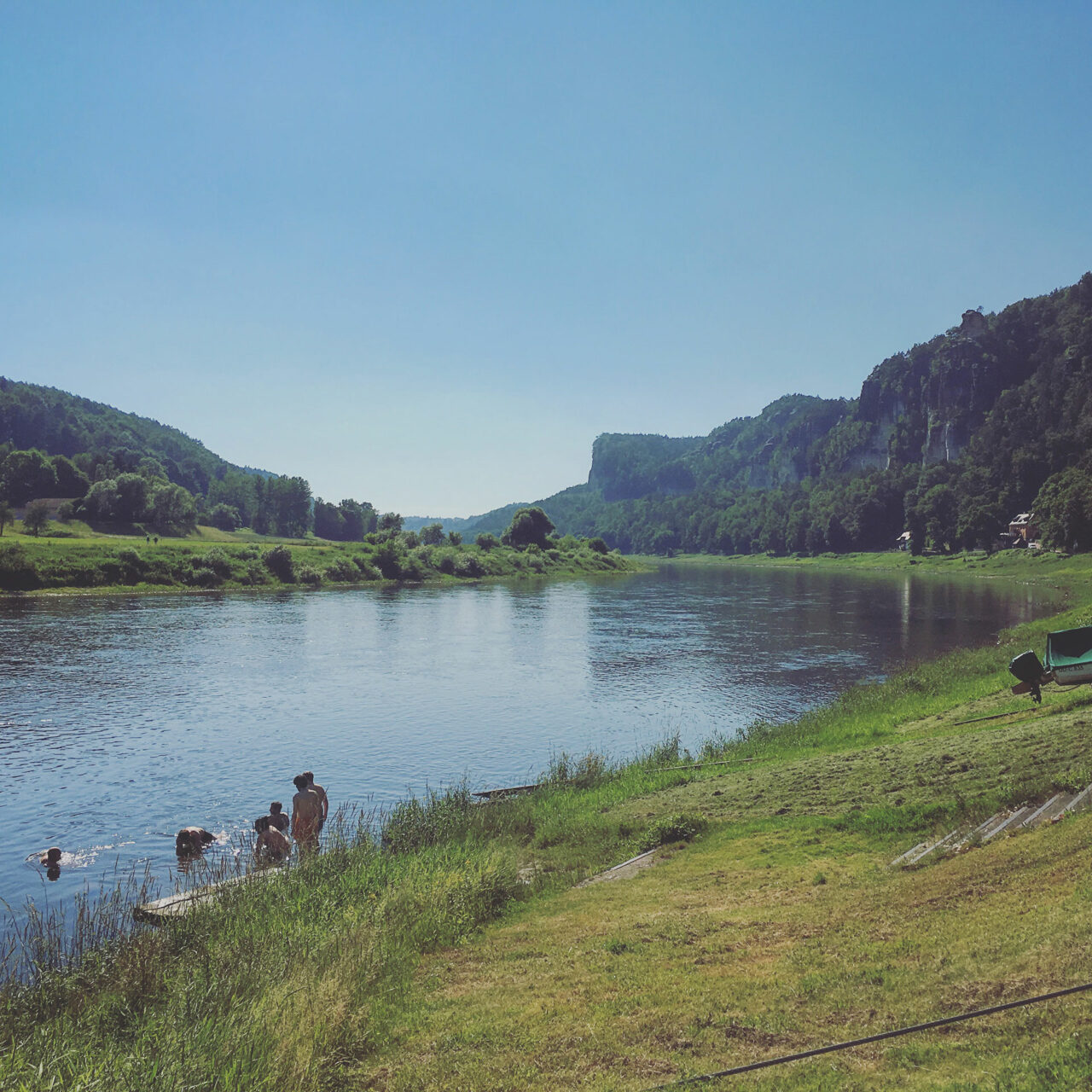 Sauber und ökologisch wertvoll: in der Elbe kann man seit einigen Jahren wieder bedenkenlos baden.