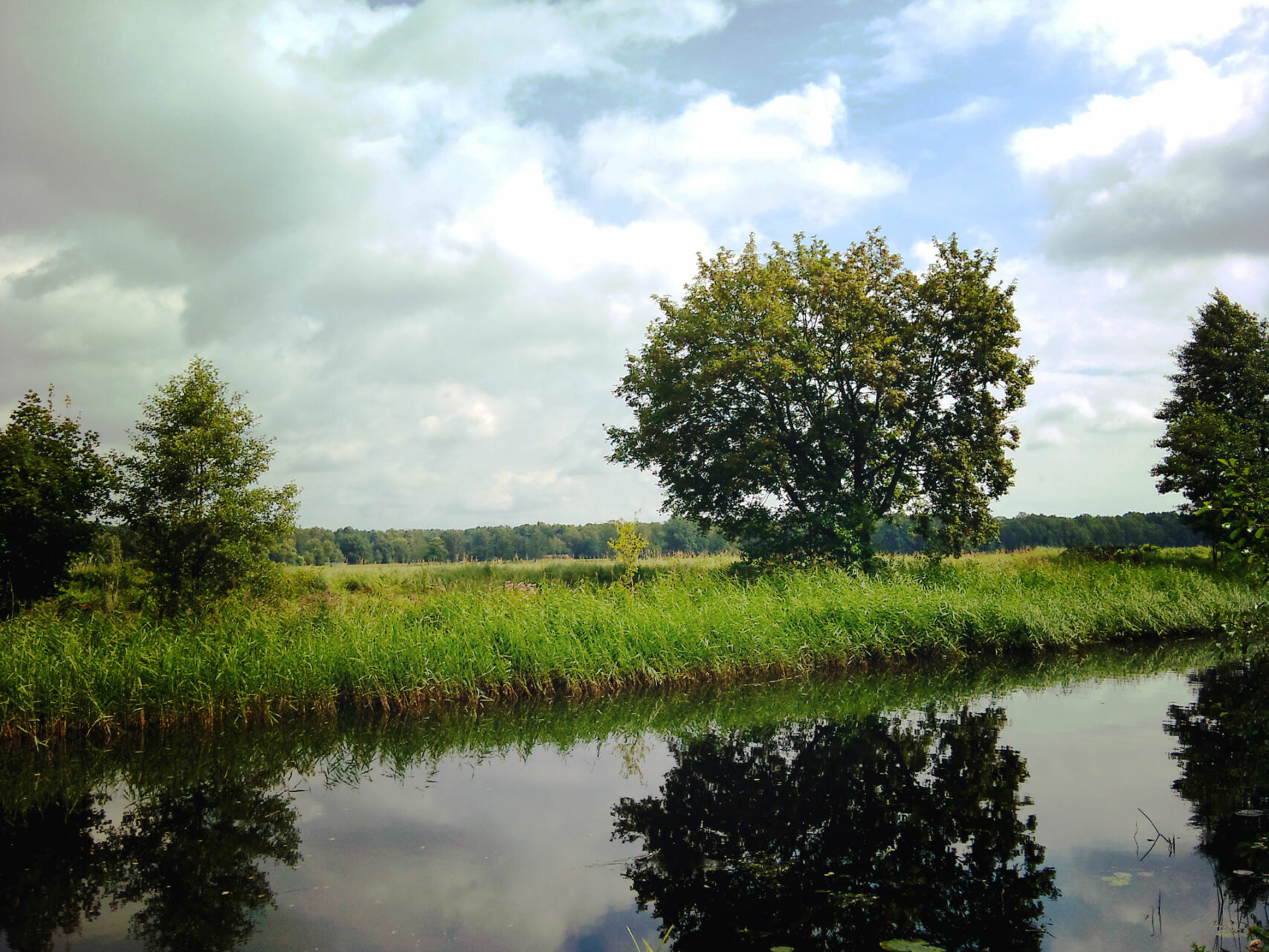 A bissel Wasser, ein oder zwei Bäume, fertig ist das romantische Bild der Barnimer Landschaft. Hätte CDF nicht besser hinbekommen...