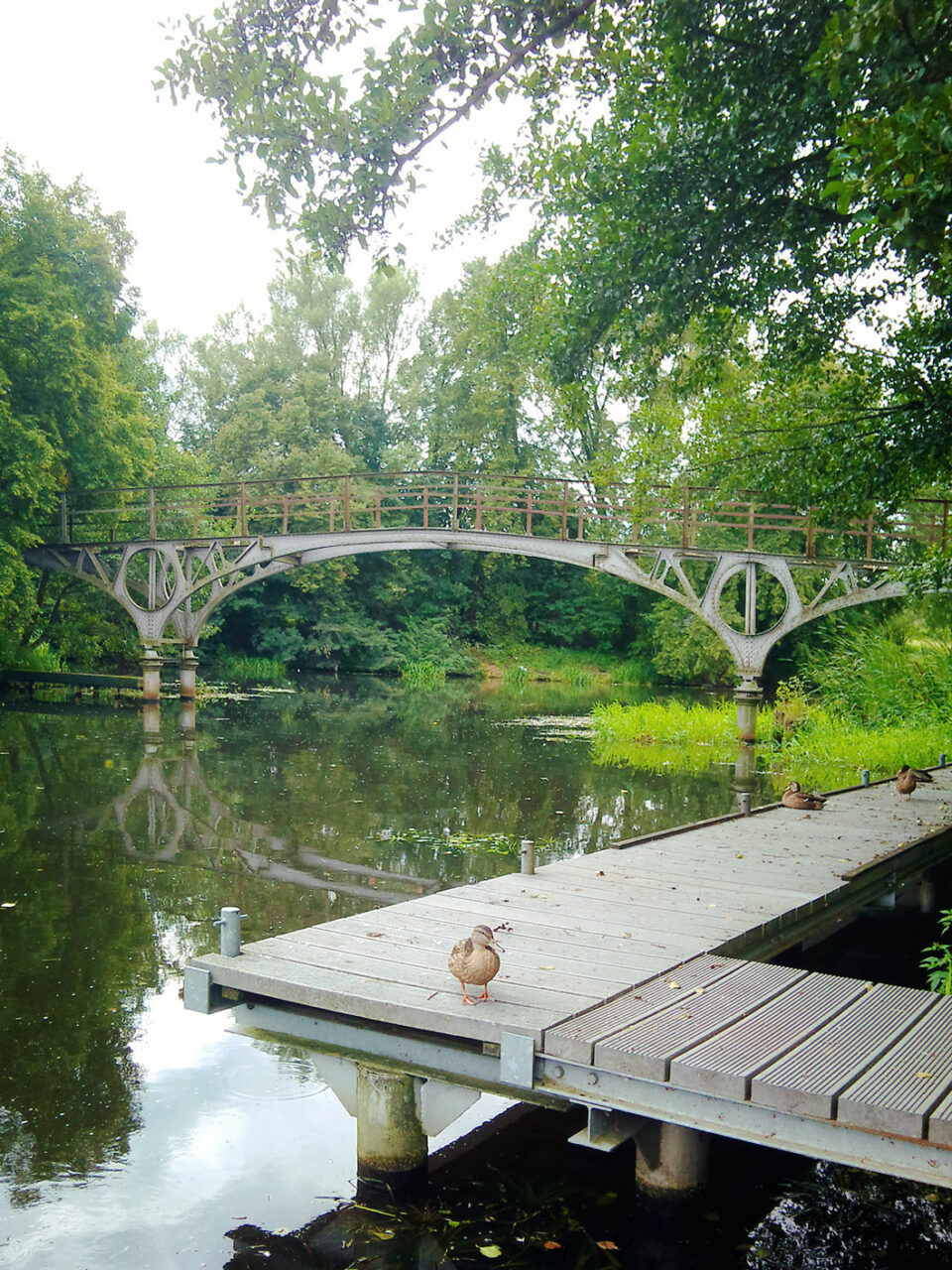 Die Teufelsbrücke am Finow-Kanal bei Eberswalde. Schaut so gar nicht teuflisch aus. Schon gar nicht mit Ente…