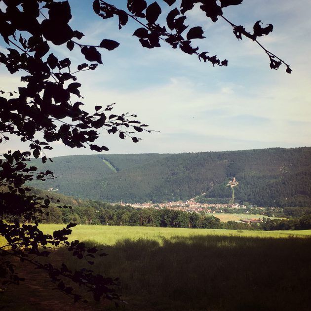 Direkt am Main, im Tal zwischen den Bergen des Spessarts und des Odenwalds, liegt Freudenberg und damit das Ziel unserer viertägigen Wanderung.