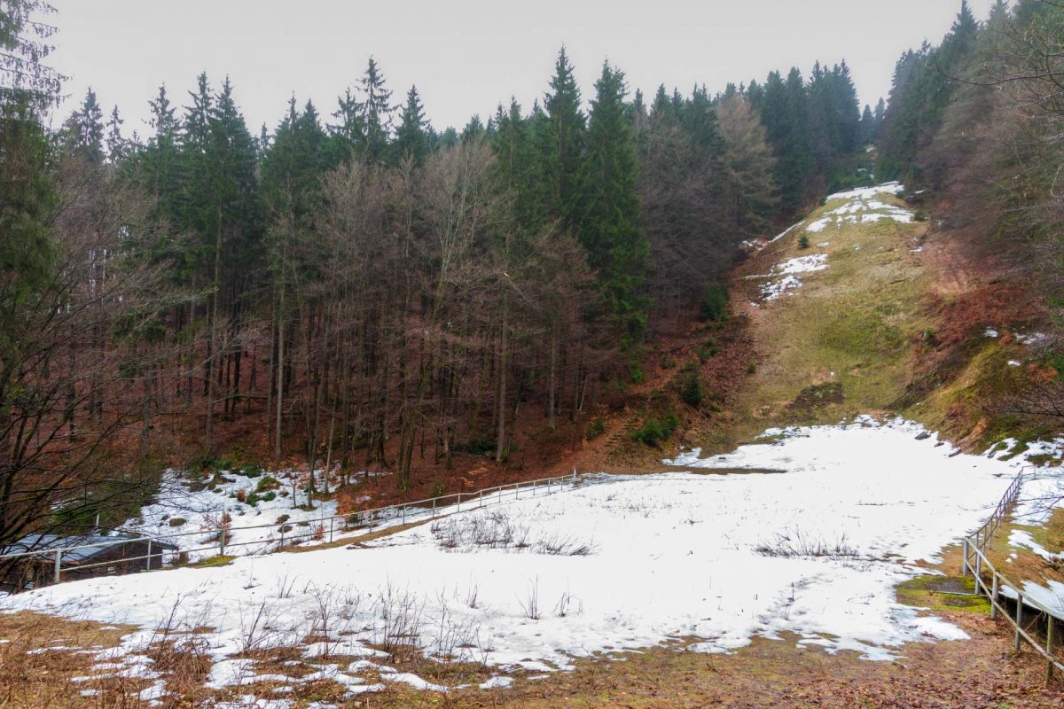 Die alte Sprungschanze im Vessertal war eine von wenigen Naturschanzen. Weitenrekord hielt zuletzt Frank Ludwig (2002) mit 99 Meter. Kurz darauf wurde der Betrieb eingestellt.