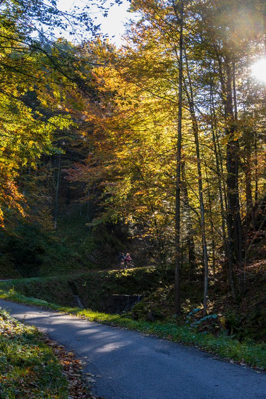 Herbst in den Chiemgauer Alpen auf dem Weg zur Kampenwand