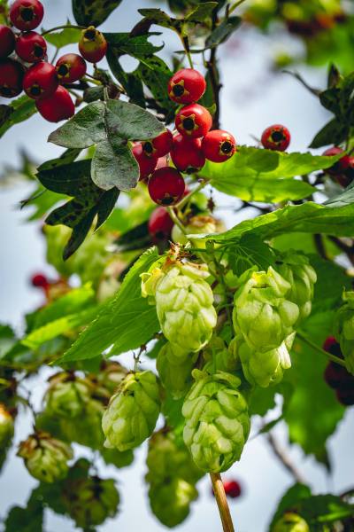 2023_tB_66-Seenweg-2_06