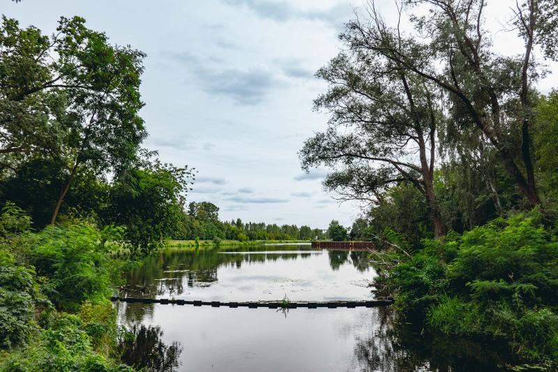 2023_tB_66-Seenweg-2_17