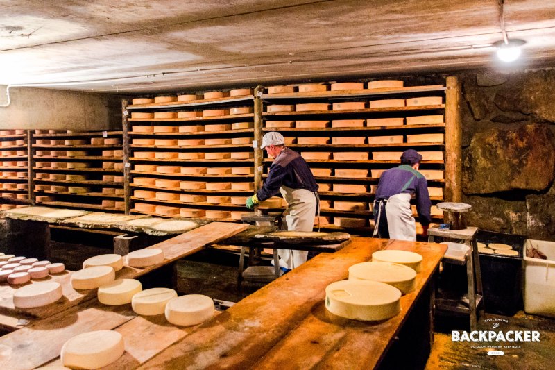 Tägliches Streicheln und Wenden inklusive – der Fontina braucht sehr viel Zuwendung.