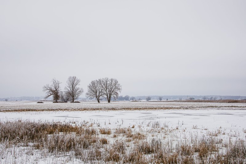 2021_tB_Winterland_Oderbruch_07