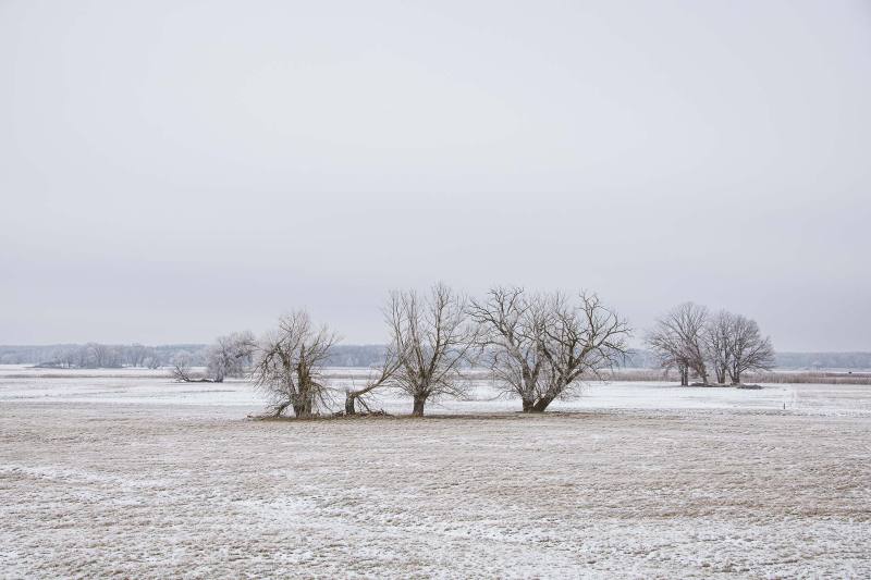 2021_tB_Winterland_Oderbruch_10