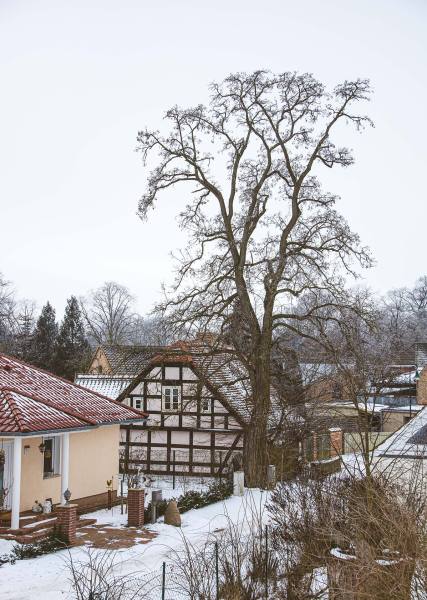 2021_tB_Winterland_Oderbruch_12