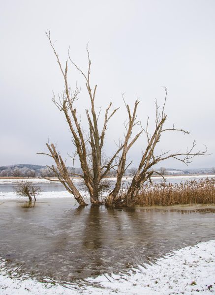 2021_tB_Winterland_Oderbruch_13