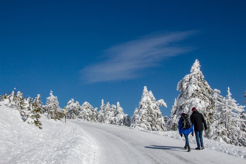 Die Straße zum Brocken ist zwar vereist aber zur Freude der Wanderer gut gestreut.