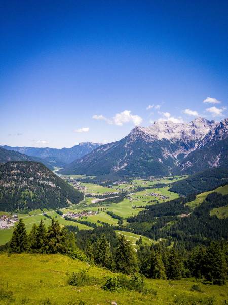 2022_tB_Buchensteinwand_05