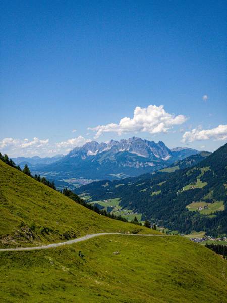 2022_tB_Buchensteinwand_10