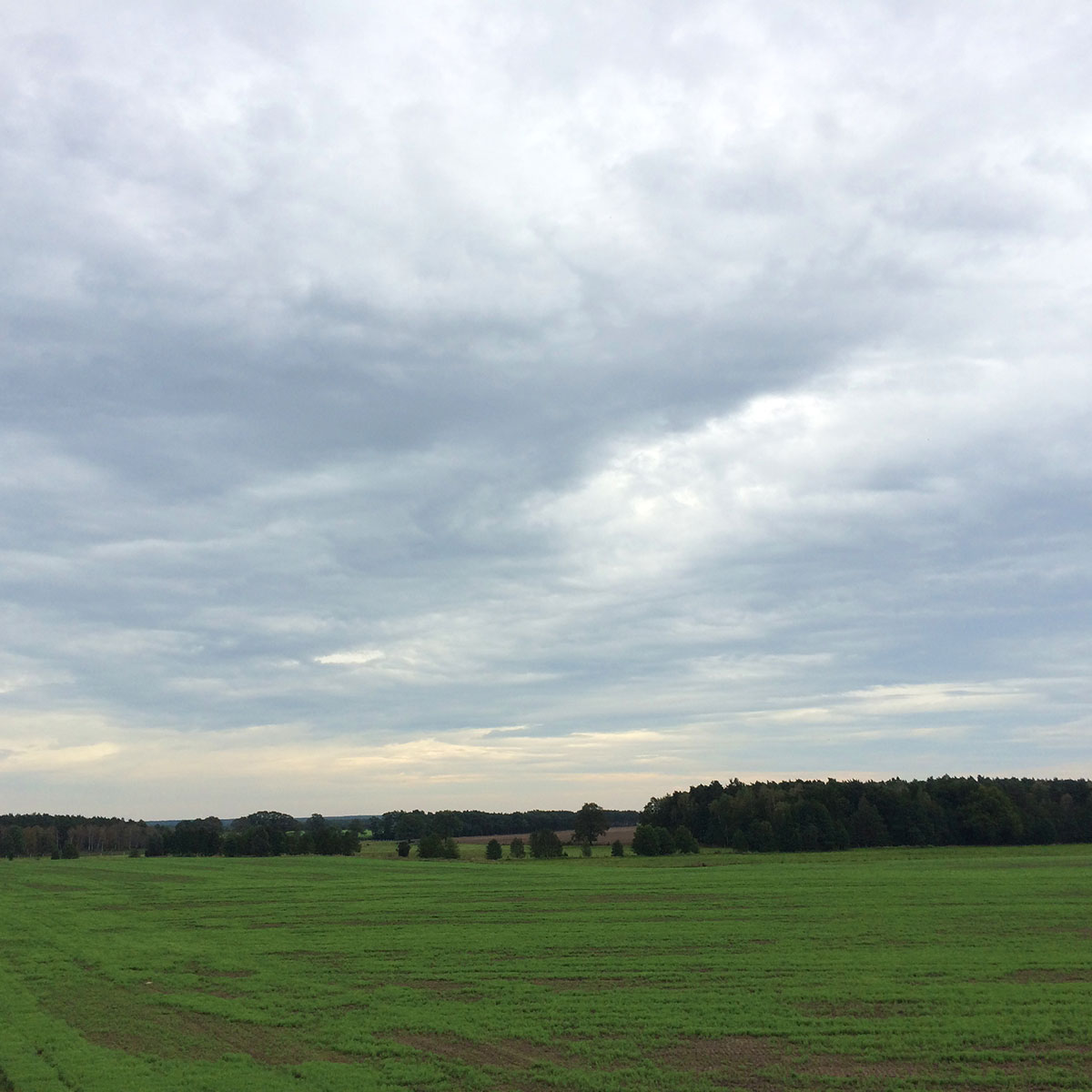 Unterwegs im Hohen Fläming: landwirtschaftliche Nutzflächen. Aber irgendwie auch schön…
