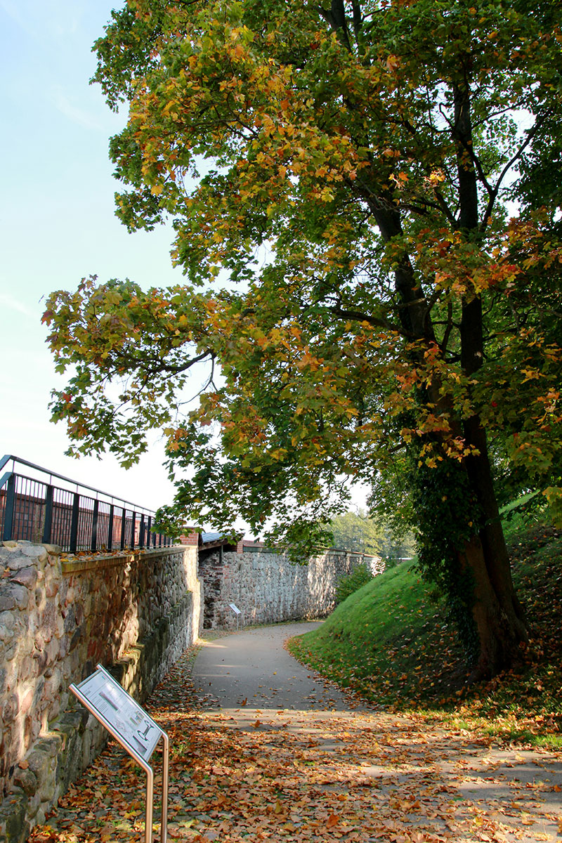 Herbstlicher Gang entlang der gut erhaltenen Burgmauer