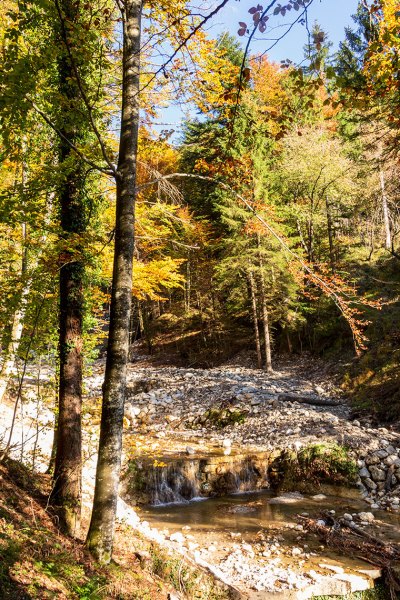 Kaskadenartig plätschert der Lochgraben in Richtung Aschau, wo er knapp sechs Kilometer nach der Quelle in den Prien mündet.