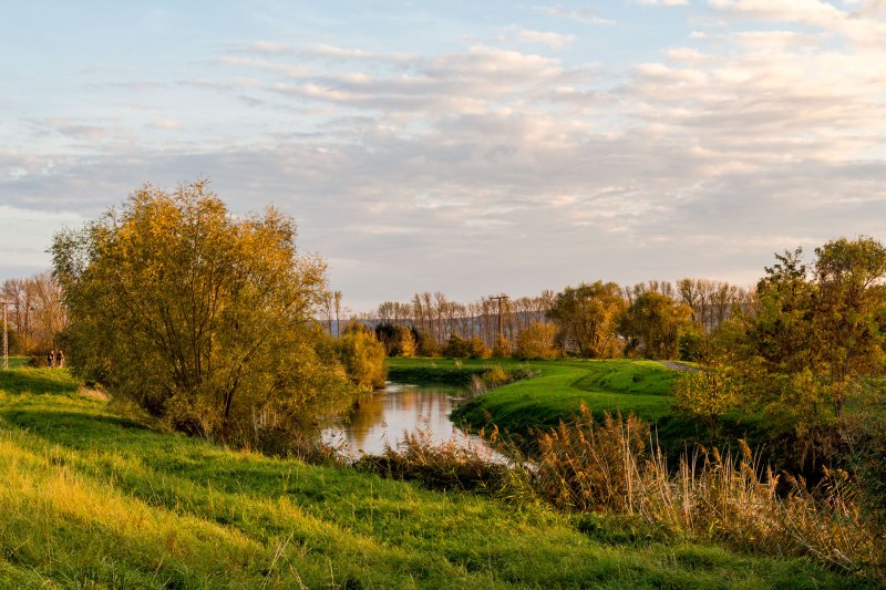 Fluss-Biotope entlang der Ufer der Unstrut