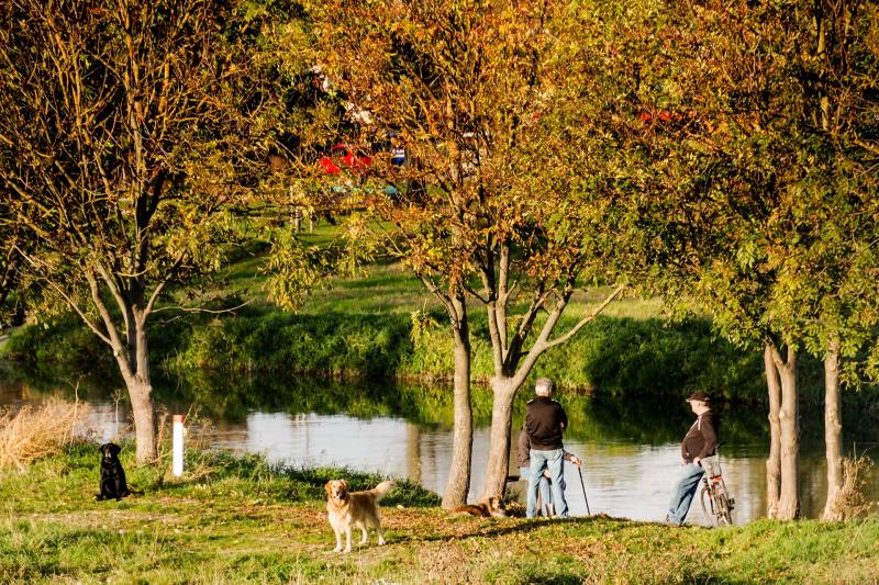 Idylle am Ufer der Unstrut. Viel zu selten sahen wir Momente wie diese auf unserer Wanderung.