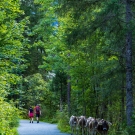 2019_tB_Pillersee_13