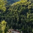 2019_tB_Pillersee_17