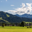 2019_tB_Pillersee_18