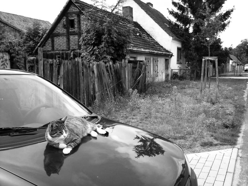 2010_Wunderblutweg_110