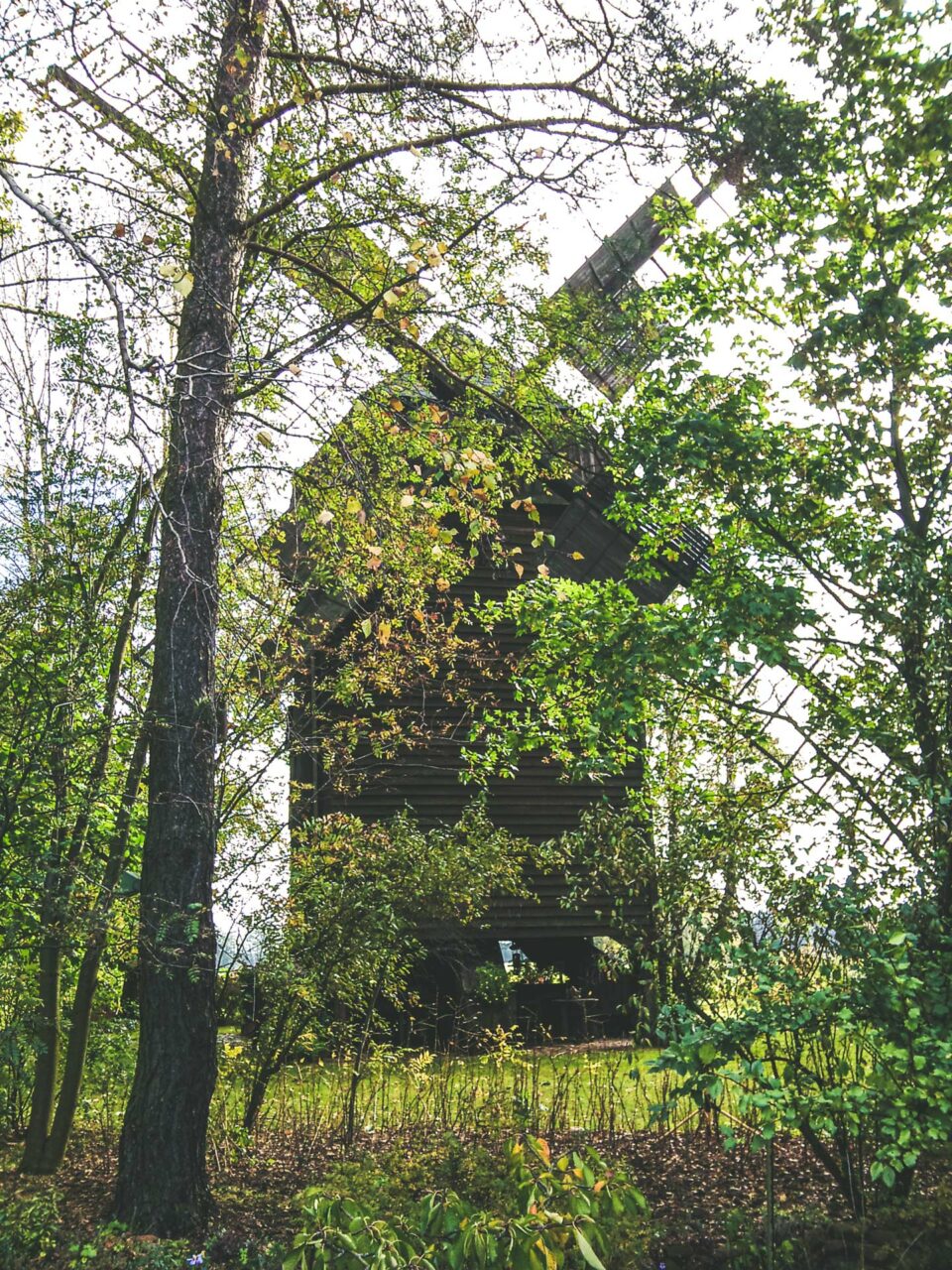 Direkt am Weg gelegen: die Hohlenbrücker Mühle. Eine original erhaltene Bockwindmühle aus der Mitte der 18. Jahrhunderts. Heute ausgebaut zum Wohnhaus.