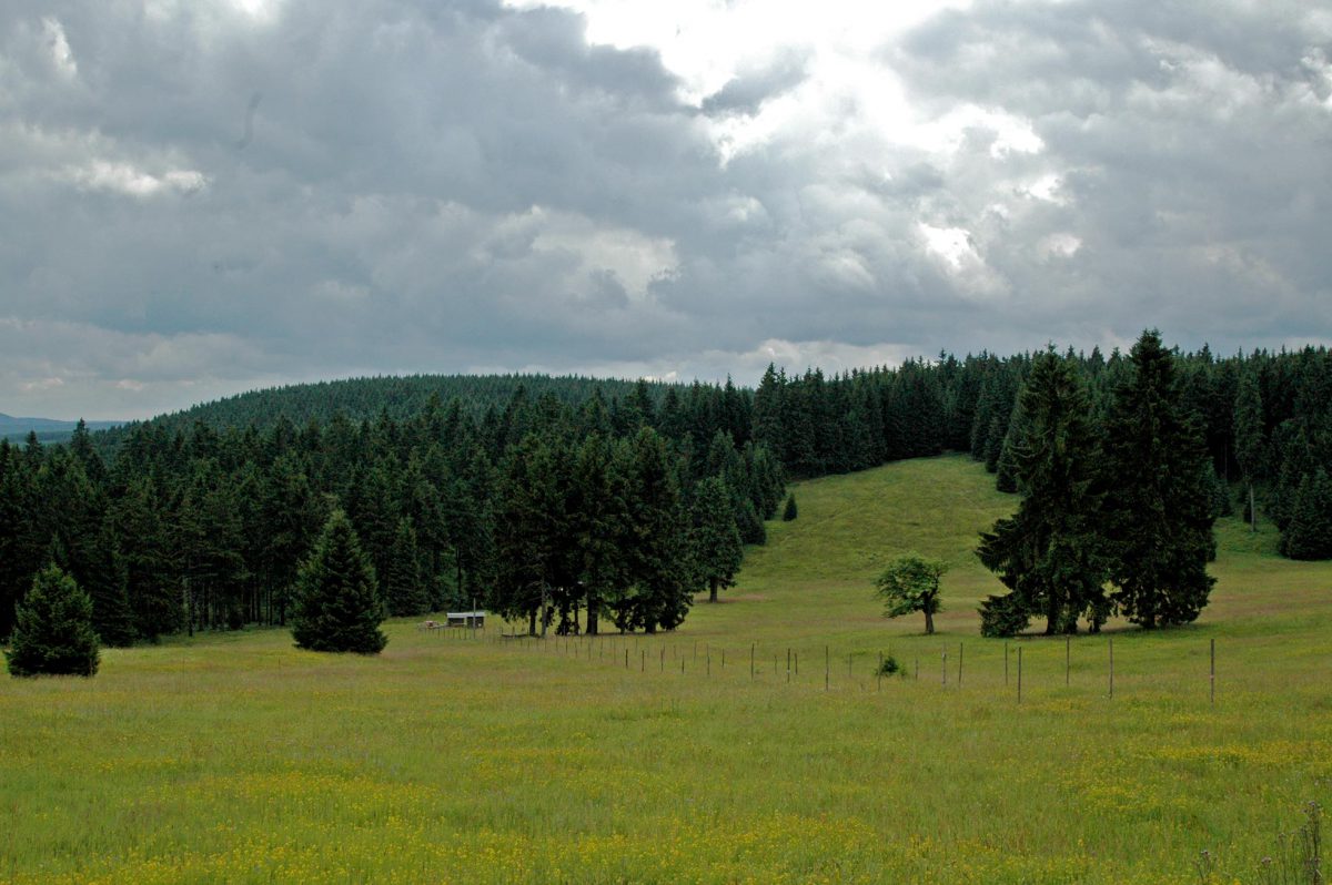 Idylle am Wegesrand