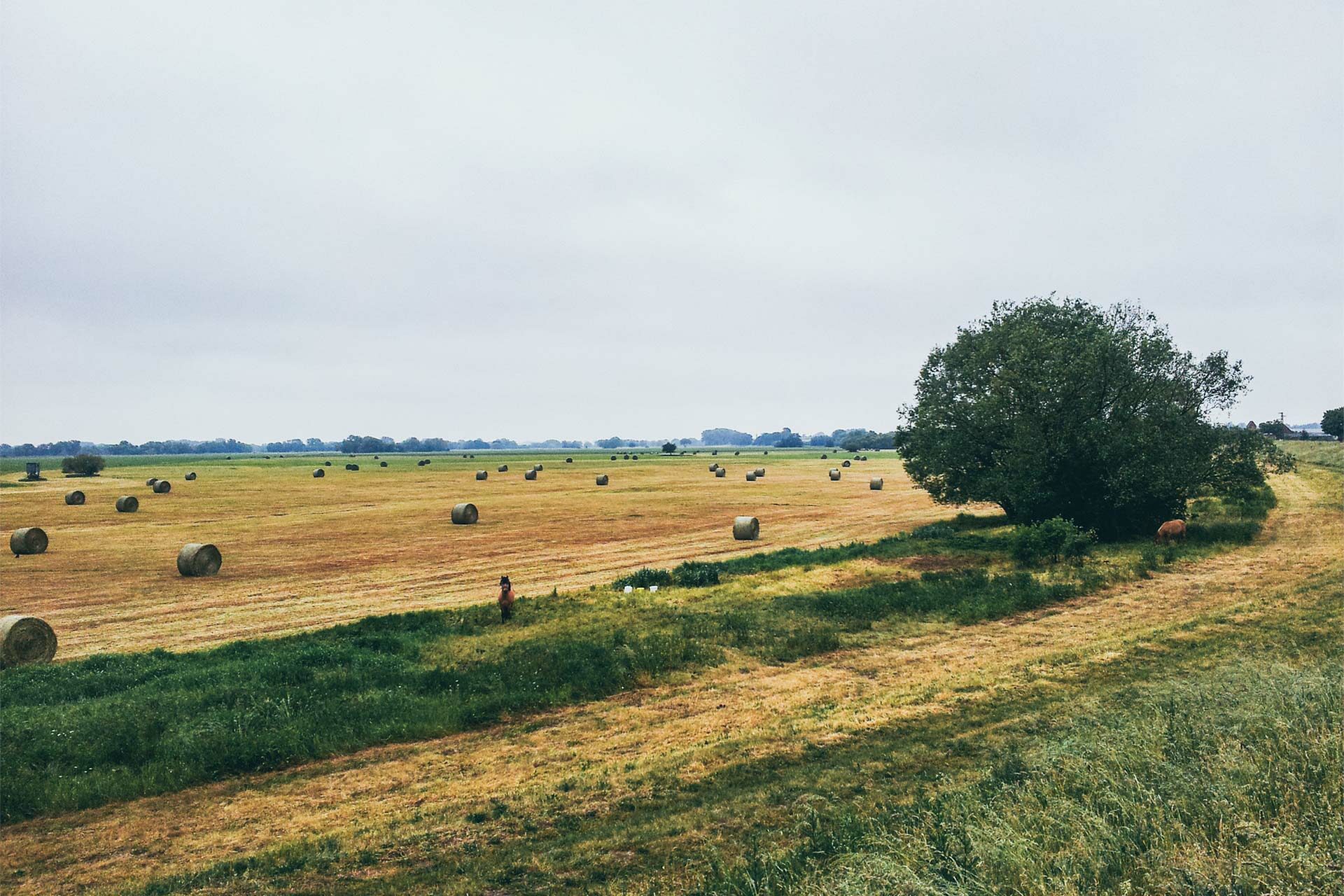 Entlang des Elberadweges geht es von Bertingen über Sandkrug nach Rogätz.