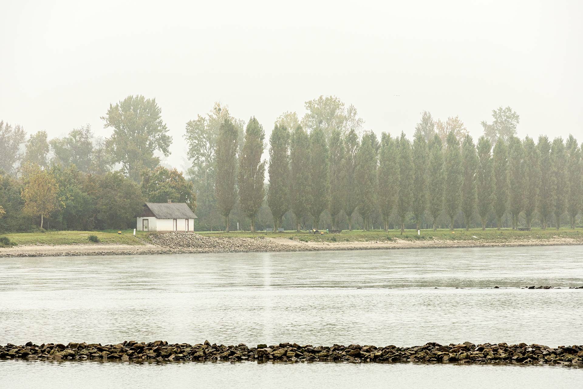 Nach reichlich vier Kilometern stößt man das erste Mal auf den Rhein und wandert ab hier entlang des Ufers auf dem Treidlerweg