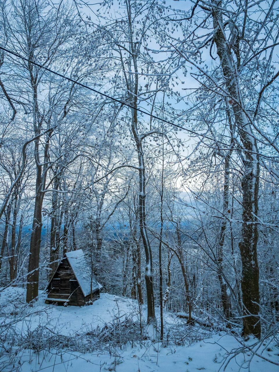 Blauweiß liegt der Wald, der Himmel, der Schnee. Winter am Geisingberg in der Nähe Altenbergs