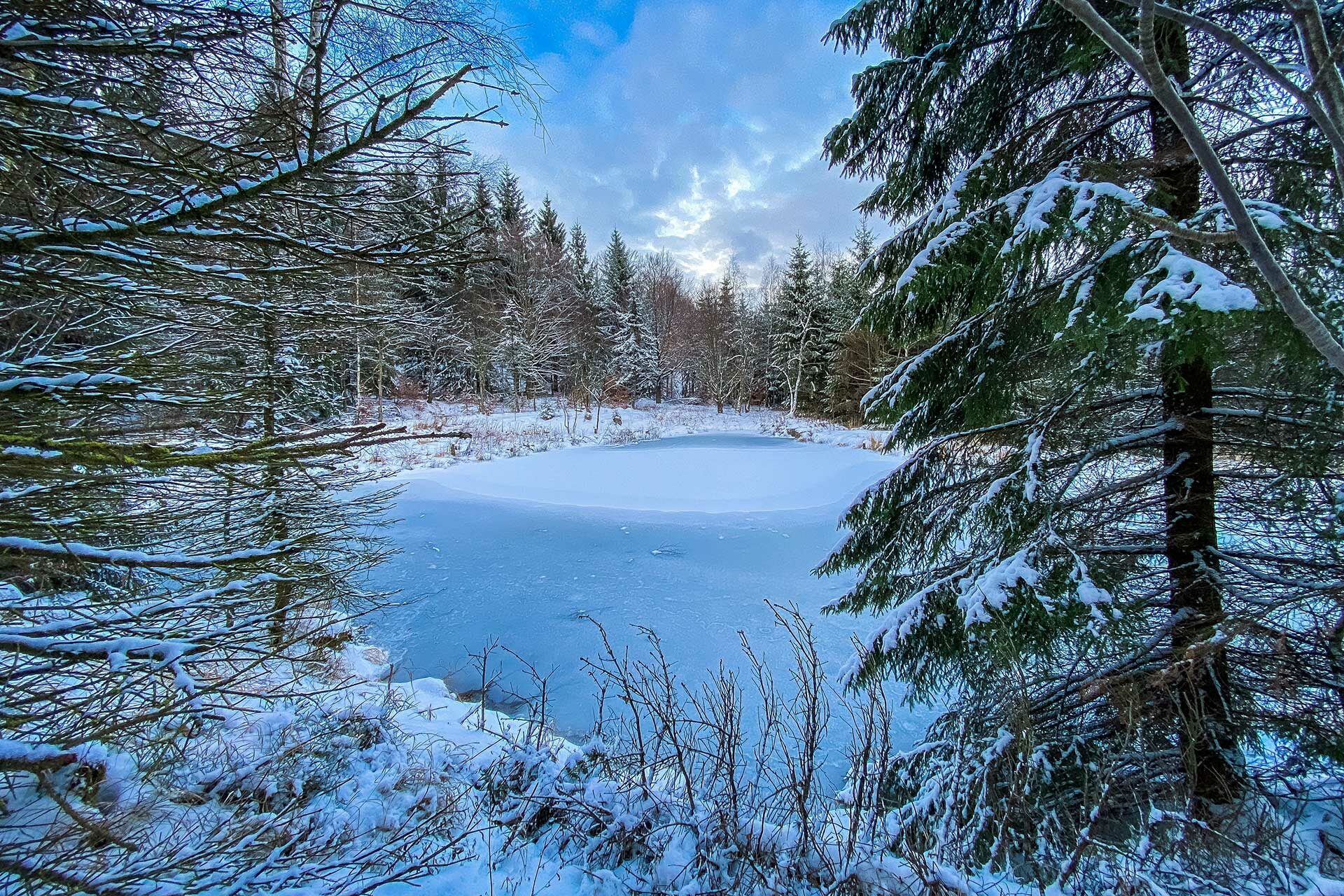 Alles andere als schwarz: der Schwarze Teich bei Altenberg