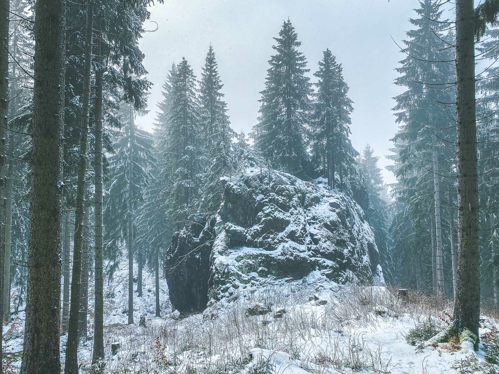Einsam und verlassen ruht der Blaue Stein inmitten des Waldes.