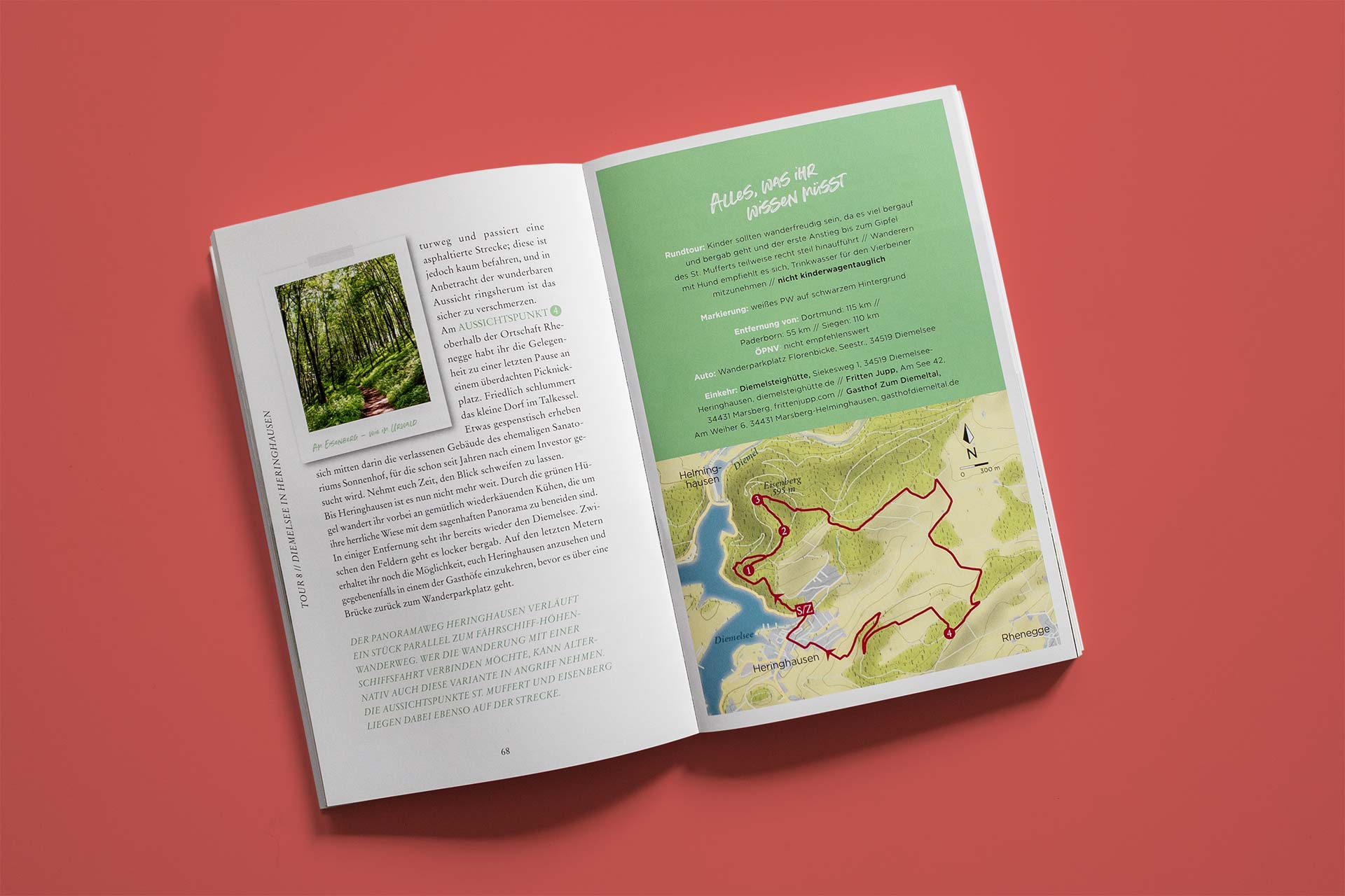 Wandern im Sauerland wird groß geschrieben auf den 25 Touren von „Komm, lass uns wandern“