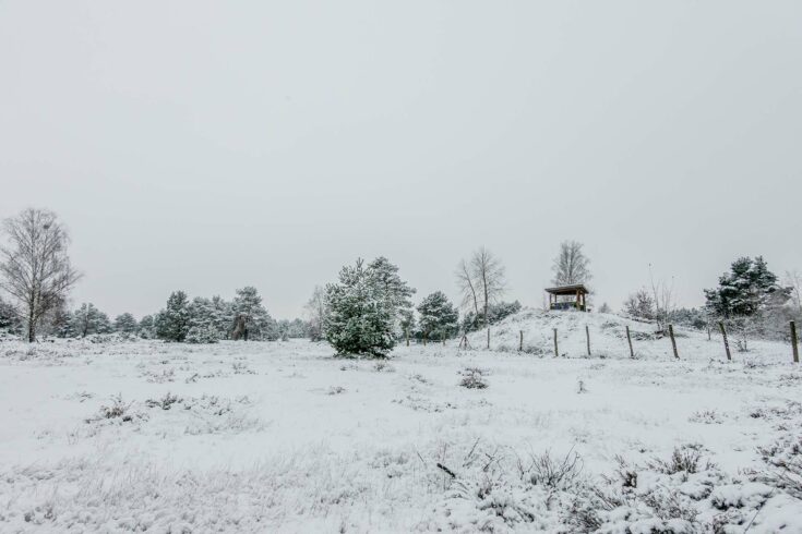 Heidelandschaft mit Aussichtsturm – die Schönower Heide ist auch im Winter echt richtig schön