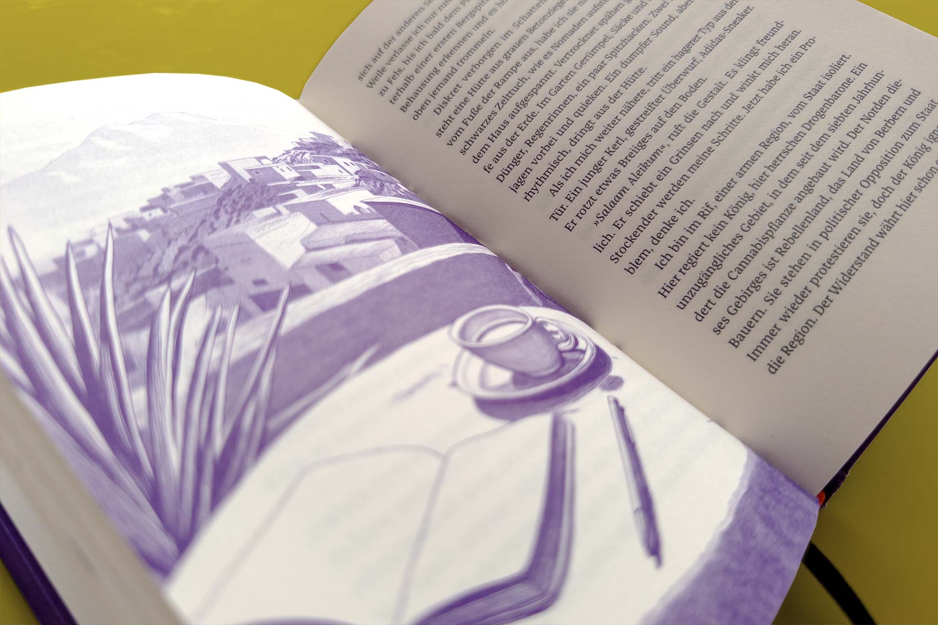 <span>Odyssee nach Westafrika</span> Wunderschöne Illustrationen im Innenteil