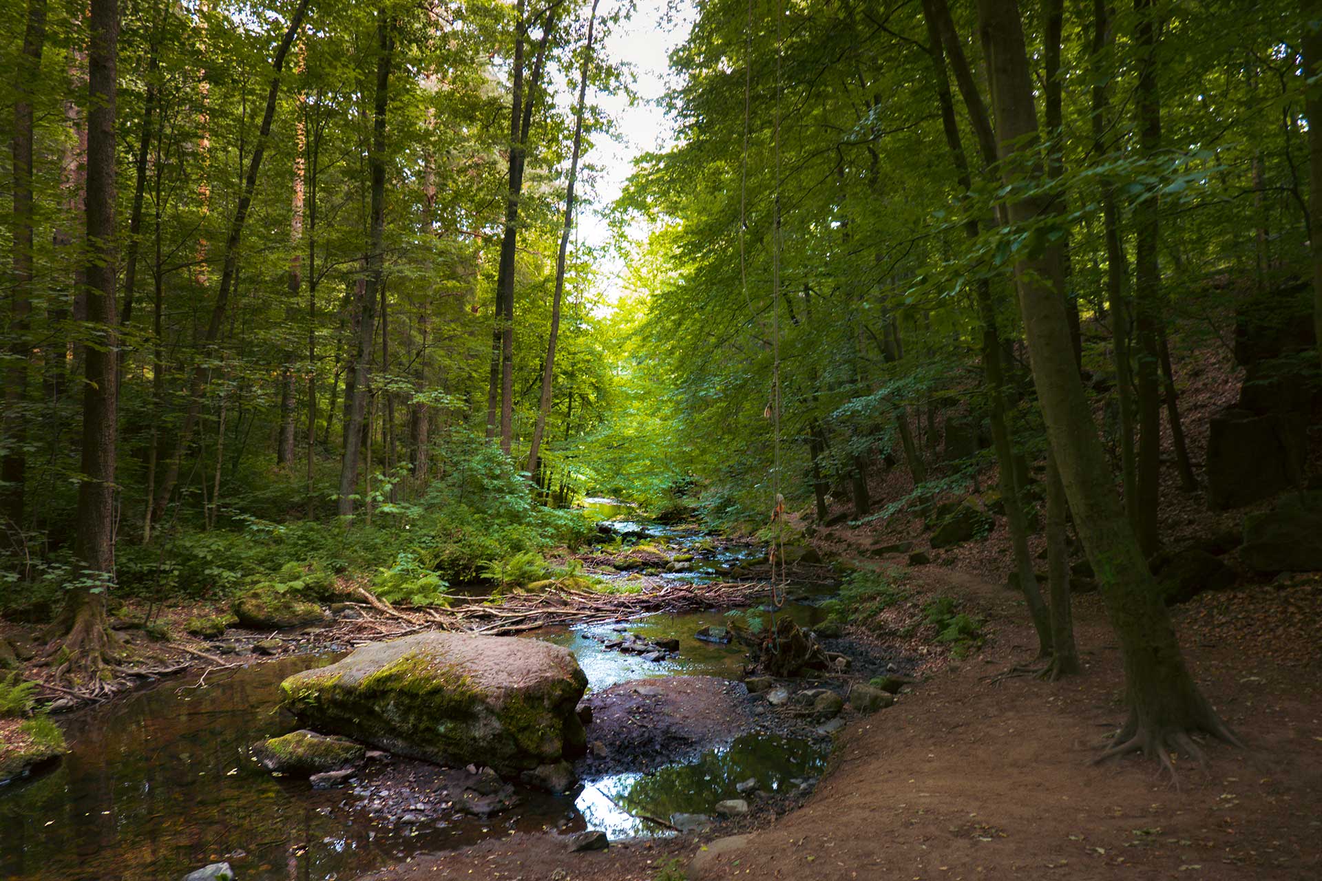 Entlang des Gottleubabachs geht es auf dem Forellensteig Berggießhübel