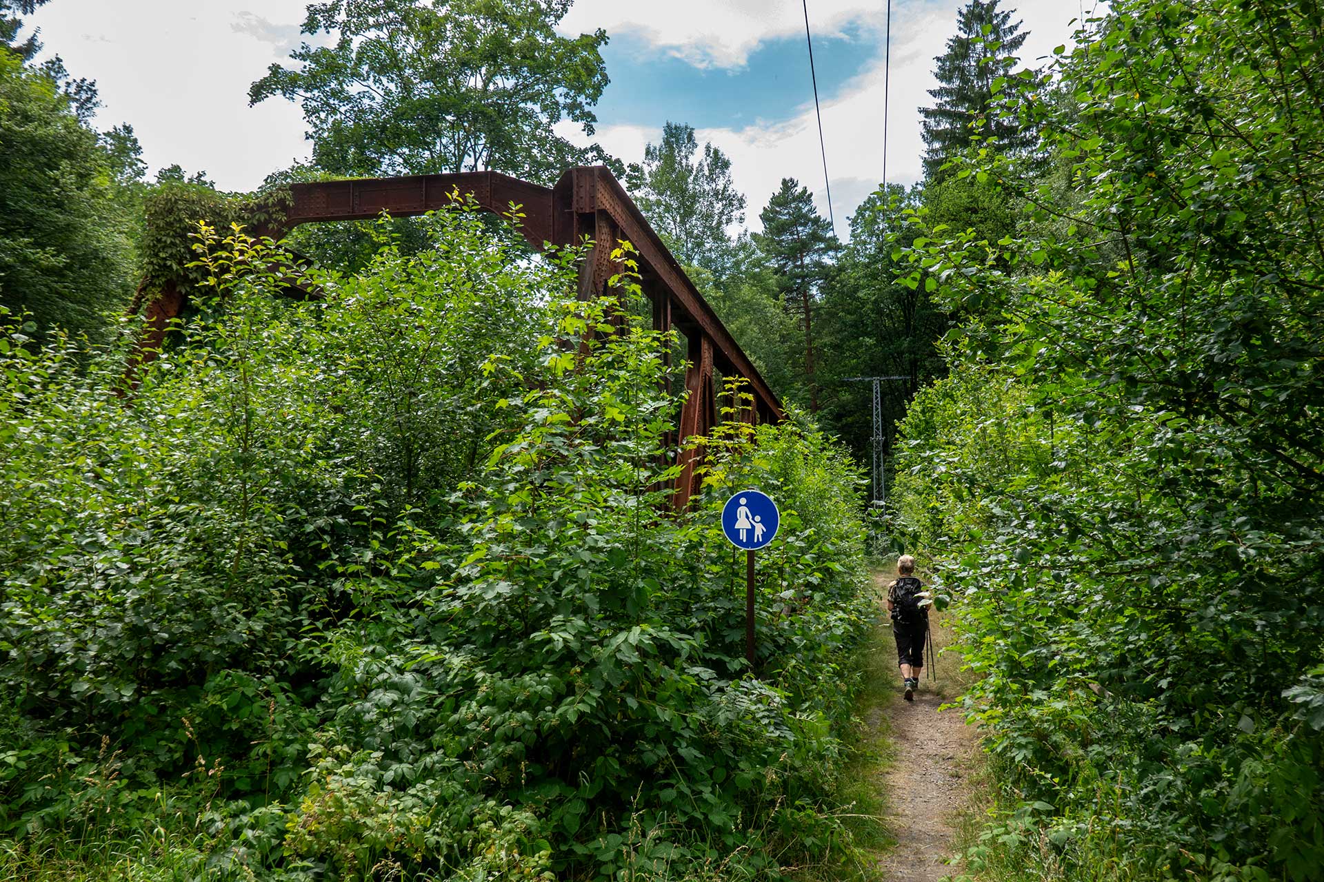 Verwunschen schön: die alte Eisenbahnbrücke am Forellensteig in der Nähe Berggießhübels