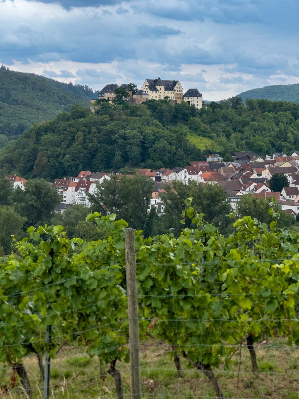 Blick auf die Ebernburg am gegenüberliegenden Ufer der Nahe