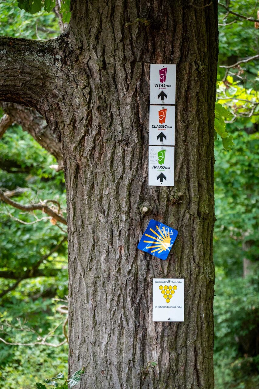 Perfekt ausgeschildert sind die drei Routen auf dem Rotenfels