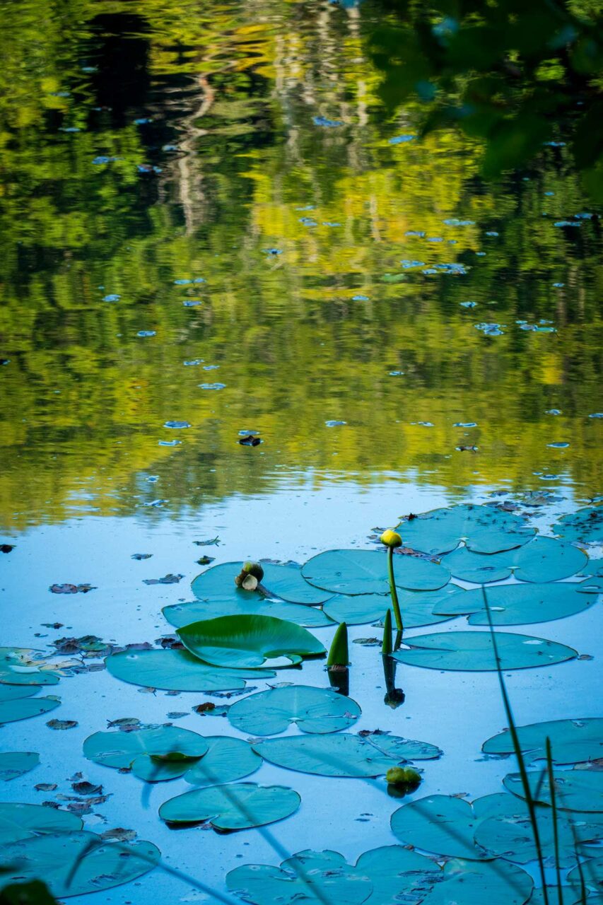 Sagen und Mythen rund um den Herthasee