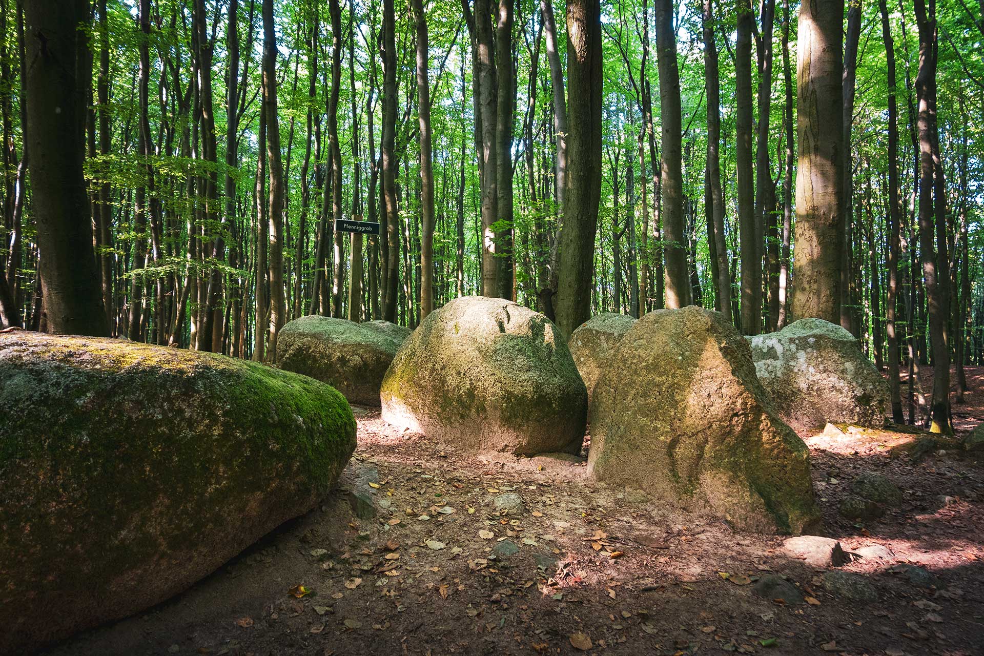 Am Anfang wie am Ende: auch das Pfenniggrab sollte mal ein monumentales Großsteingrab werden