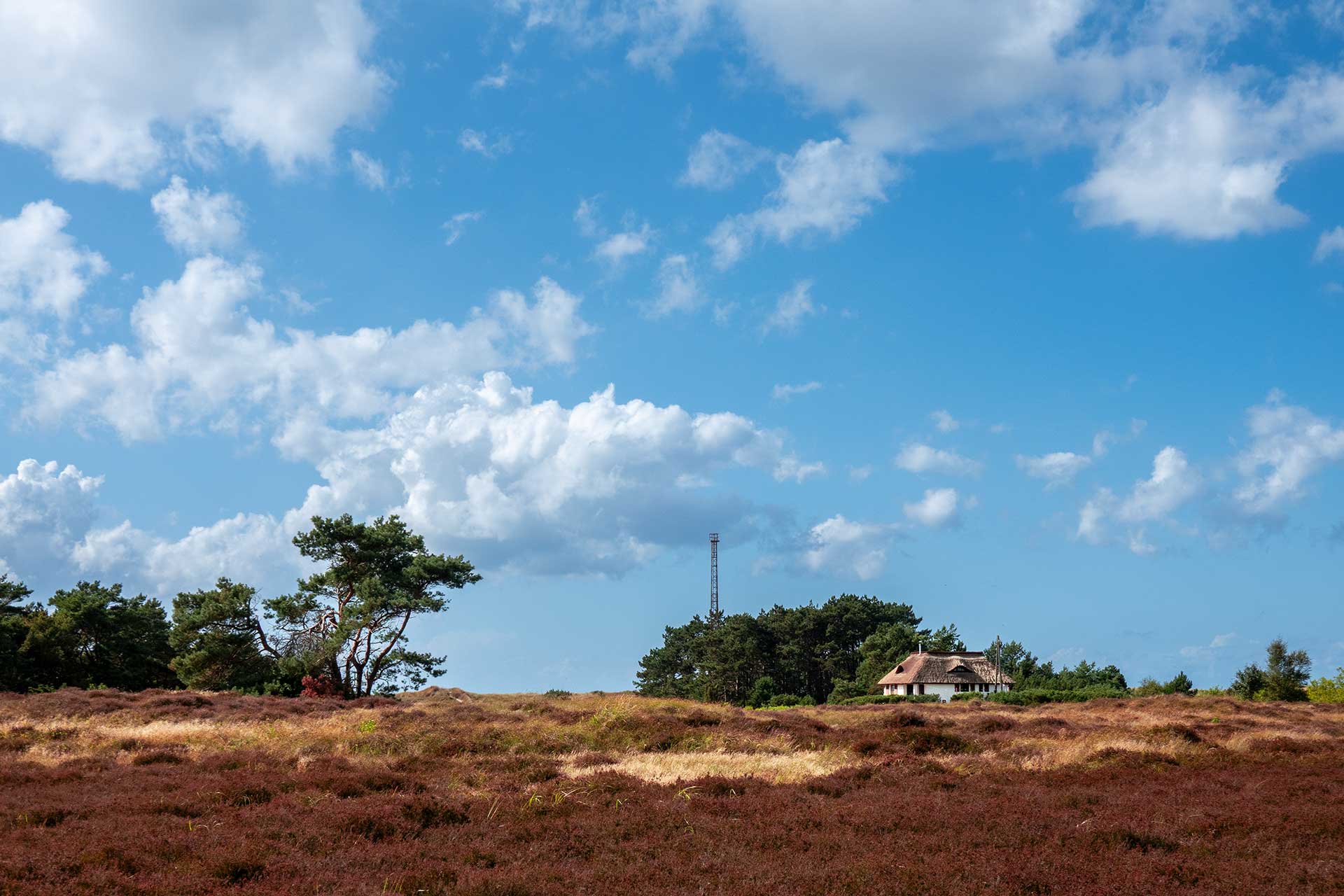 Wandern auf der Insel Hiddensee
