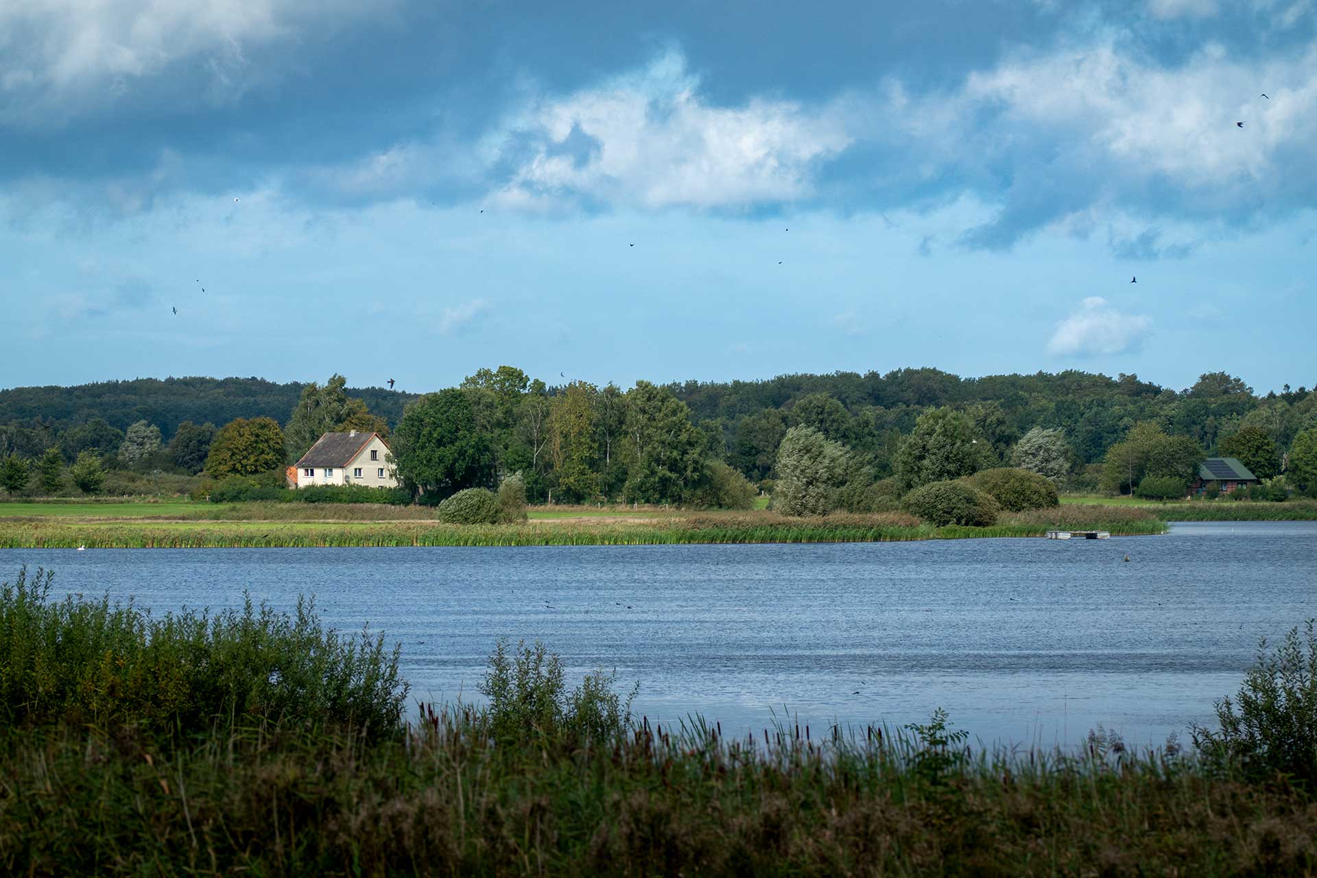 Wanderung zum Nonnensee bei Bergen auf der Insel Rügen