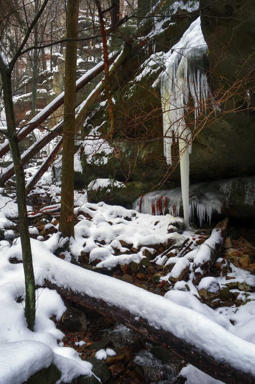 Eis und Schnee im Nationalpark Sächsische Schweiz