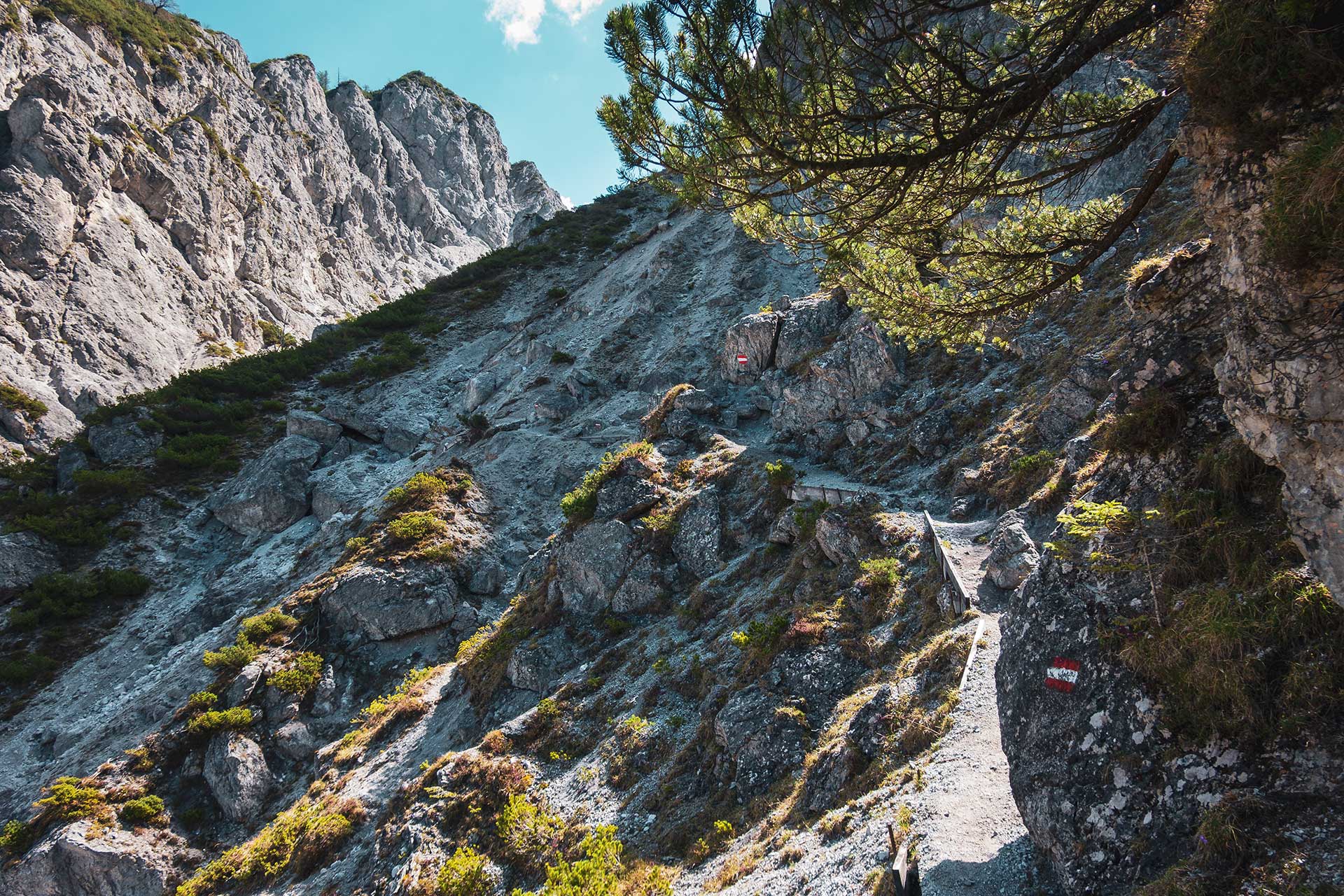 Schmale, alpine Wege führen letztlich zu einer kurzen Kletterei an der Gsengscharte