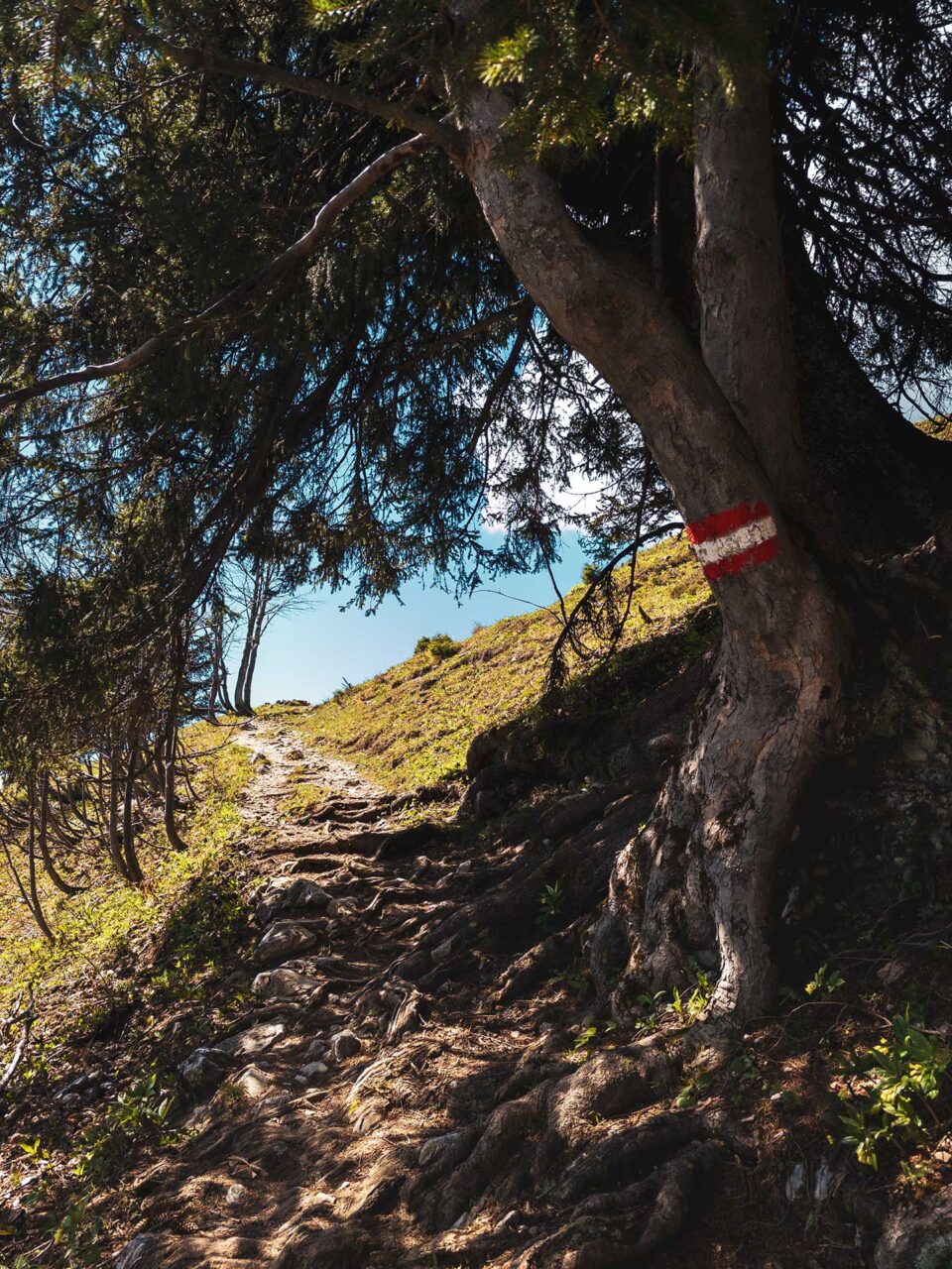 Idyllische Wege an Grabneralm und Admonter Haus