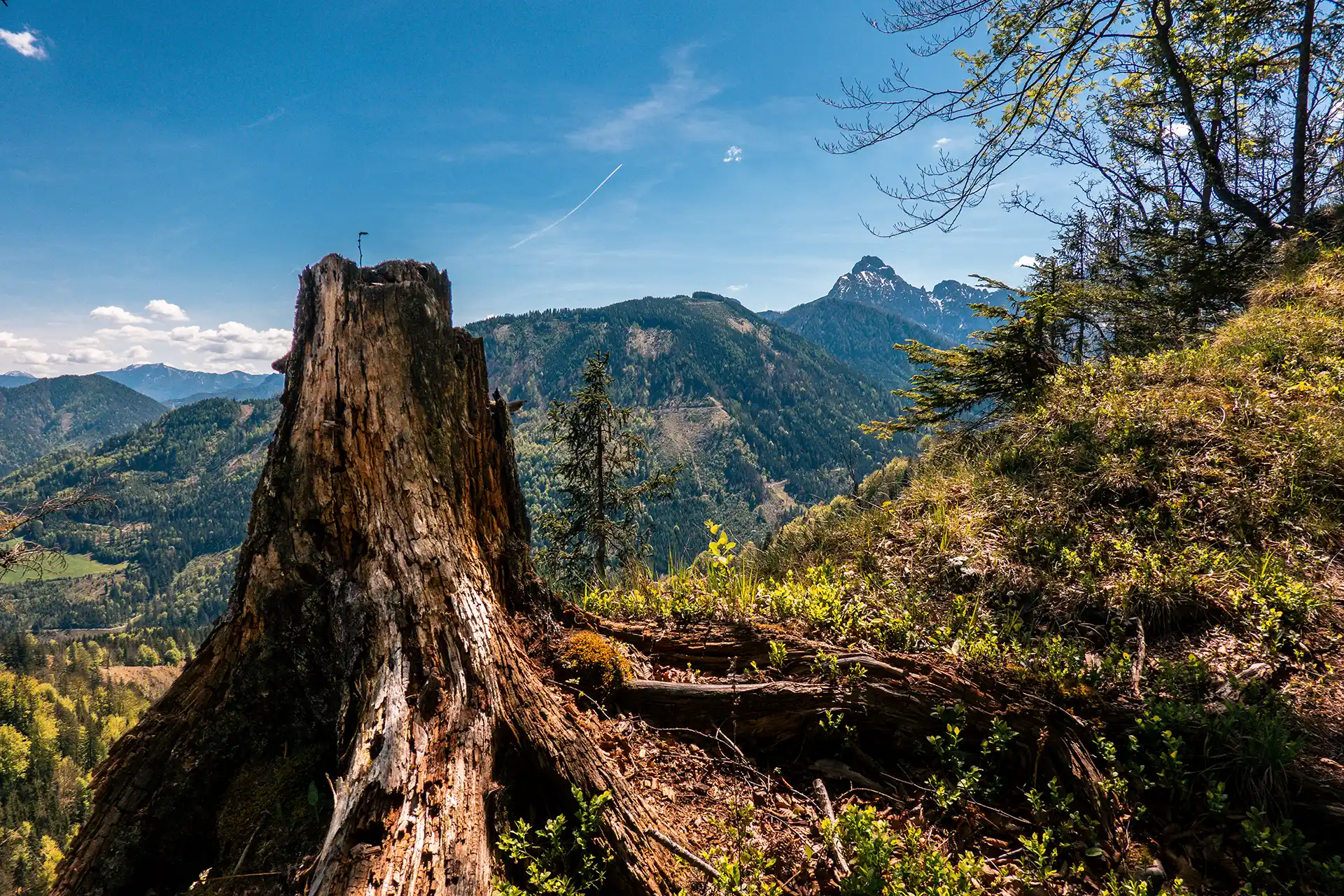 Immer wieder gibt es auf der Wanderung Ausblicke ins Gesäuse