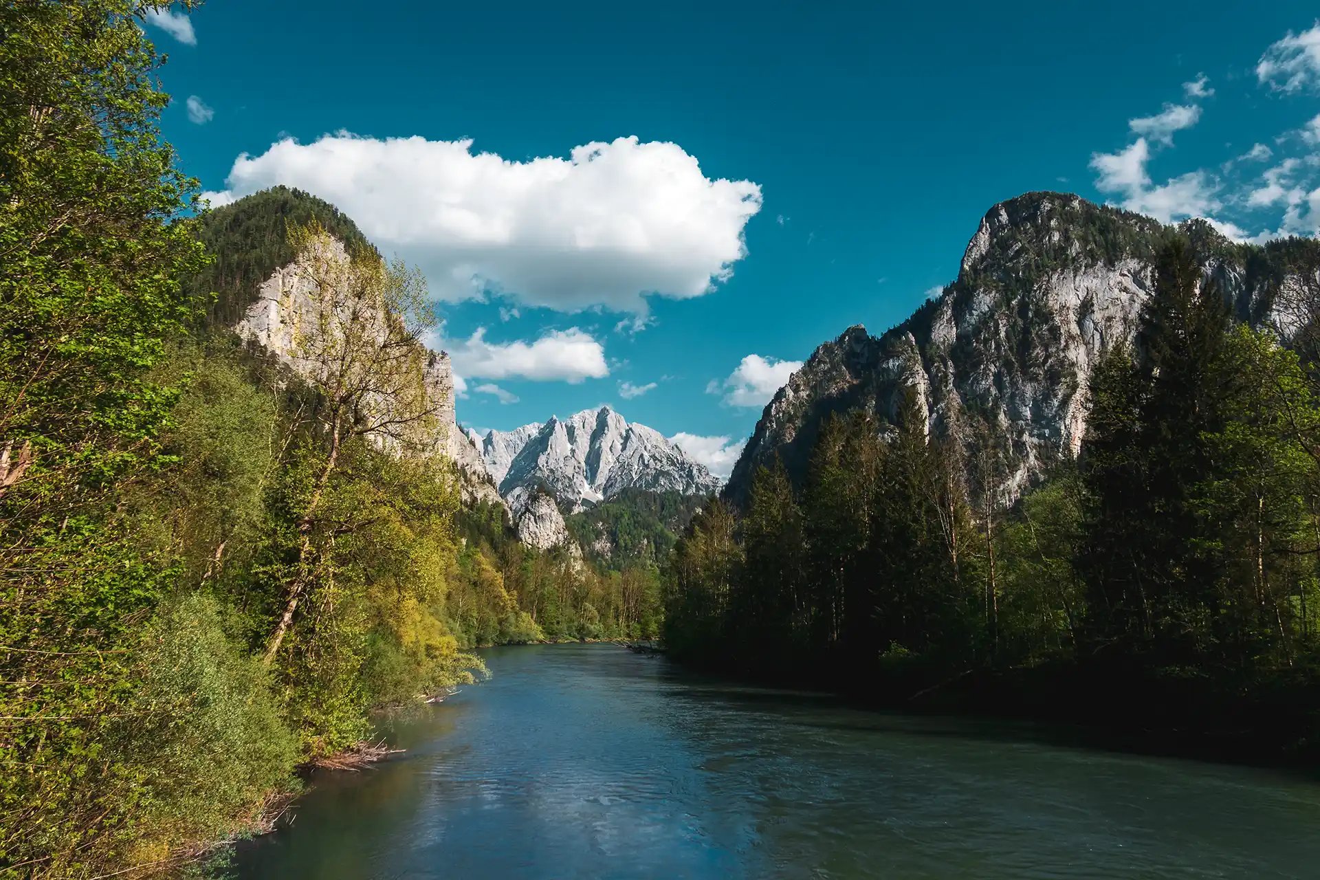 Ein Frühlingsmorgen an der Enns im Nationalpark Gesäuse.