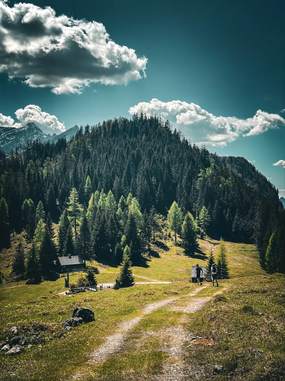 Im <span>Gesäuse Wandern</span> heißt auch immer bergauf und -ab